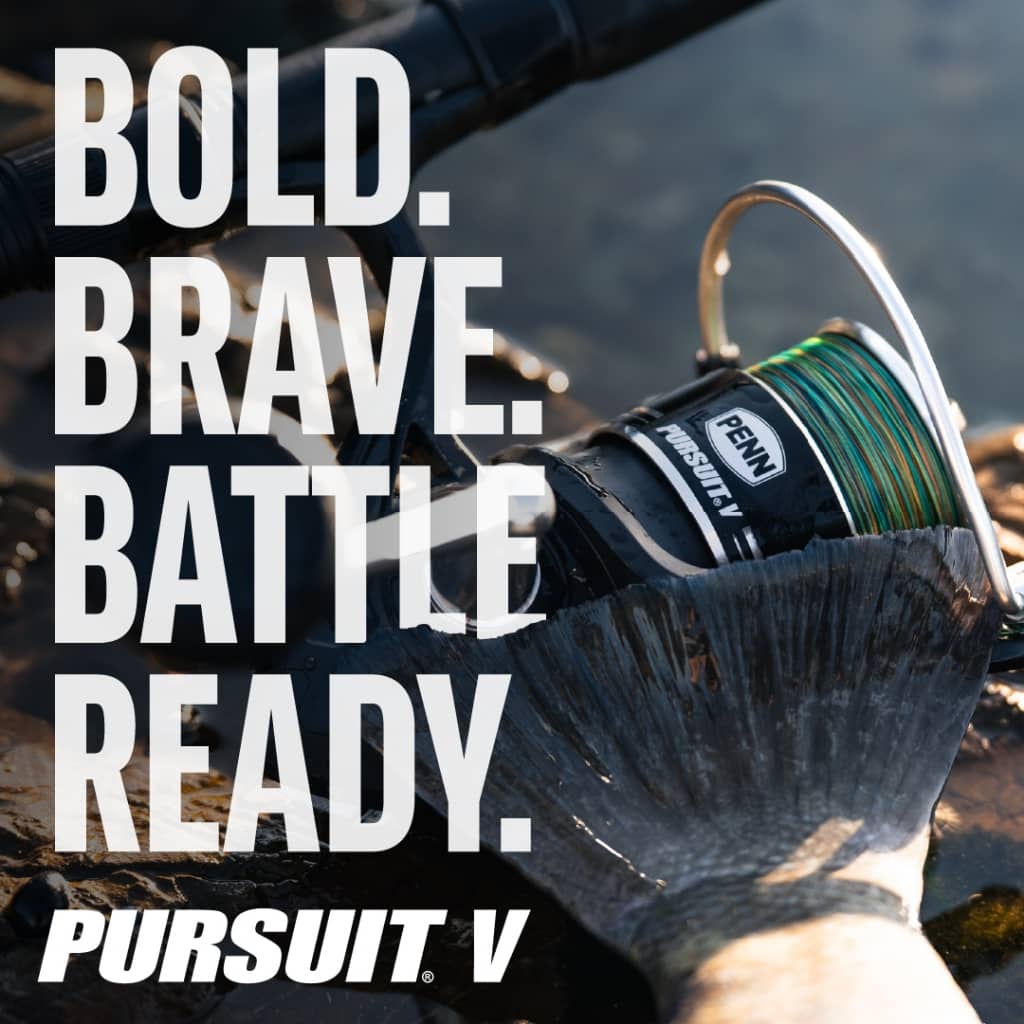 Penn Pursuit V - Spinning Reel Series Pursuit 5