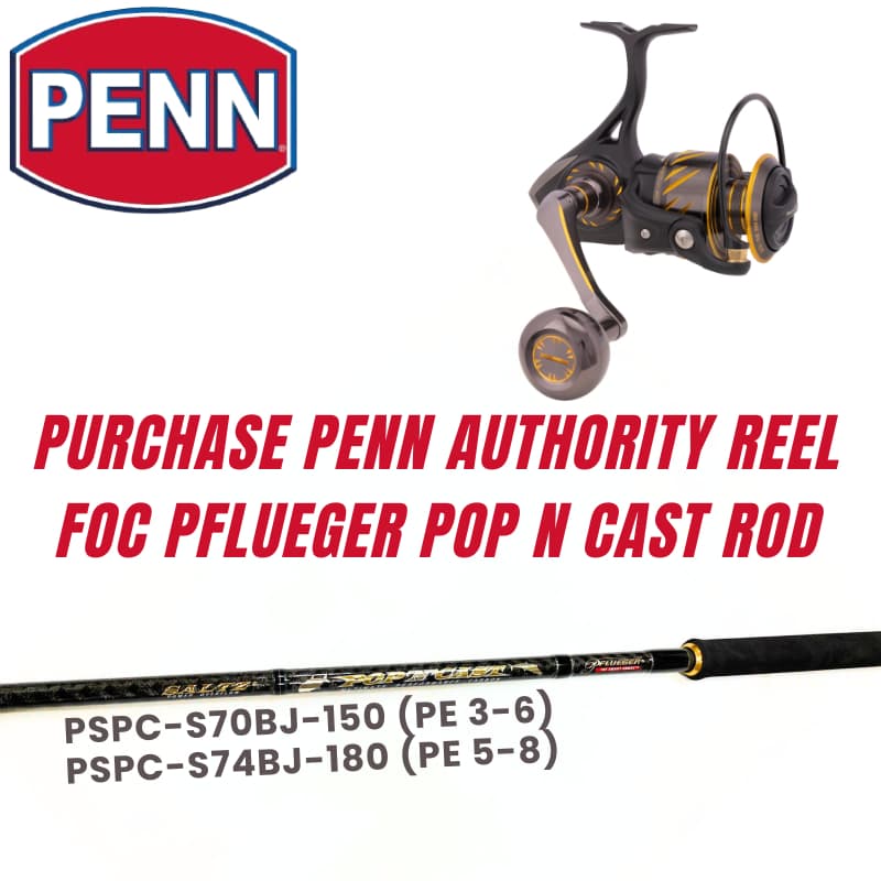 Penn Authority - Spinning Reel Series